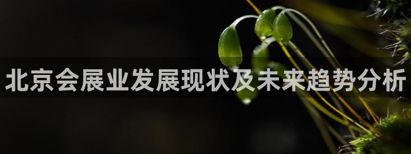 果博平台真实吗安全吗可信吗安全吗：北京会