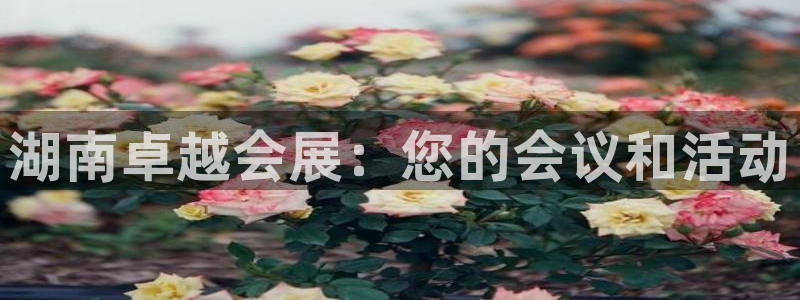 果博官方热线：湖南卓越会展：您的会议和活