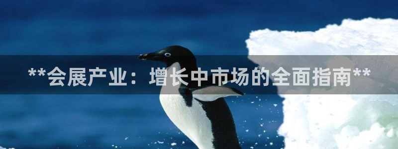 果博真人：**会展产业：增长中市场的全面