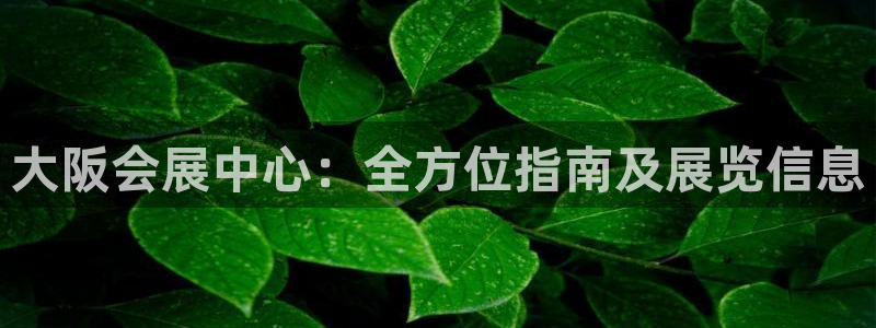 果博平台真实吗知乎推荐：大阪会展中心：全