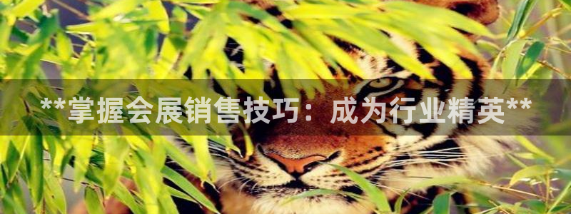 果博账号注册要钱吗