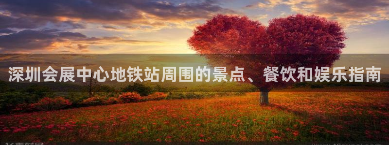 果博平台苹果电脑怎么下载：深圳会展中心地