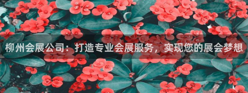 果博公司开户热线：柳州会展公司：打造专业