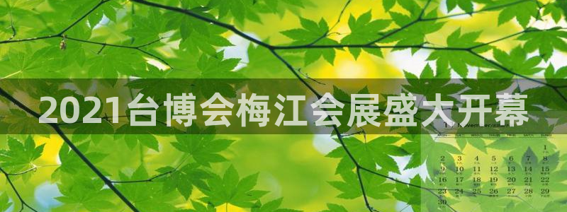 果博服务电话：2021台博会梅江会展盛大