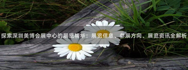 果博平台真实吗：探索深圳美博会展中心的展