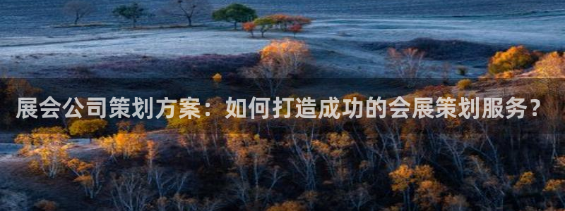 苹果电脑怎么下载伯索：展会公司策划方案：
