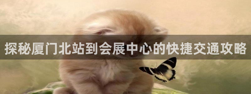 果博注册客服电话：探秘厦门北站到会展中心