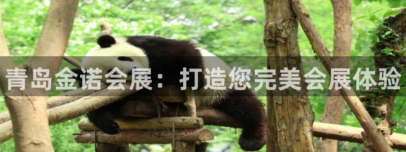 果博公司客服联系方式：青岛金诺会展：打造