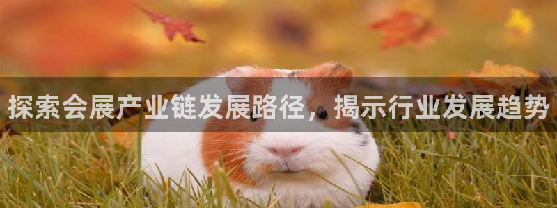 果博环保公司：探索会展产业链发展路径，揭