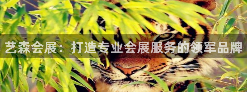 果博官网：艺森会展：打造专业会展服务的领
