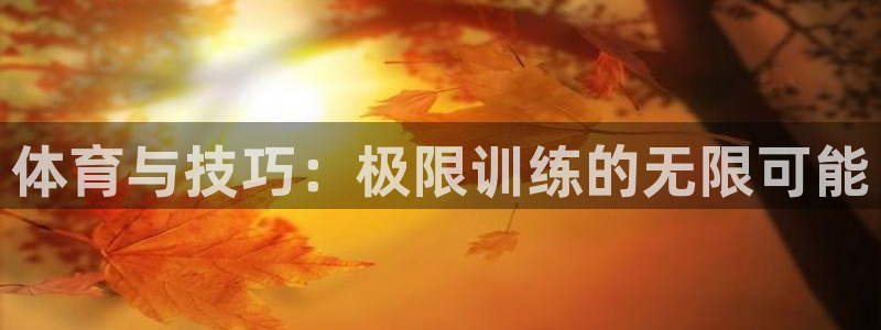 风速体育app：体育与技巧：极限训练的无限可能