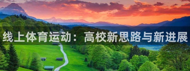 风速体育直播app：线上体育运动：高校新思路与新进展