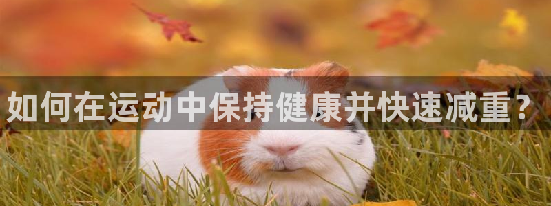 风速体育cba直播：如何在运动中保持健康并快速减重？