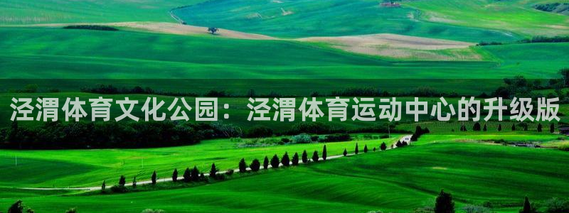 风速体育官网：泾渭体育文化公园：泾渭体育运动中心的升级版