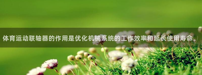 风速体育下载：体育运动联轴器的作用是优化机械系统的工作效率和延长使用寿命。
