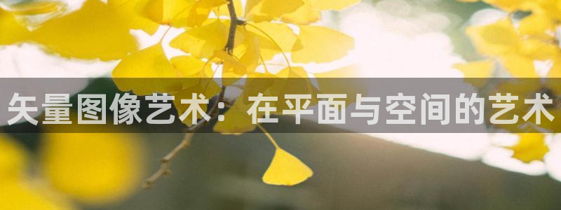 风速体育nba直播：矢量图像艺术：在平面与空间的艺术