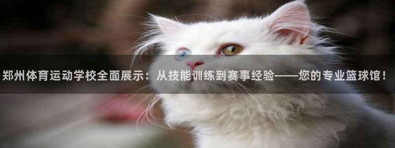 风速体育nba直播：郑州体育运动学校全面展示：从技能训练到赛事经验——您的专业篮球馆！