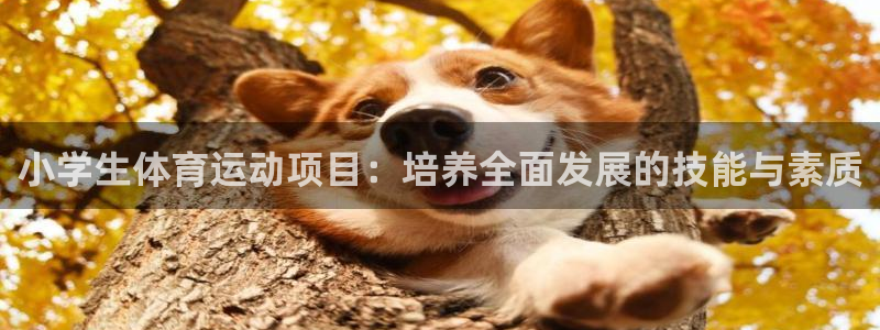 风速体育直播：小学生体育运动项目：培养全面发展的技能与素质