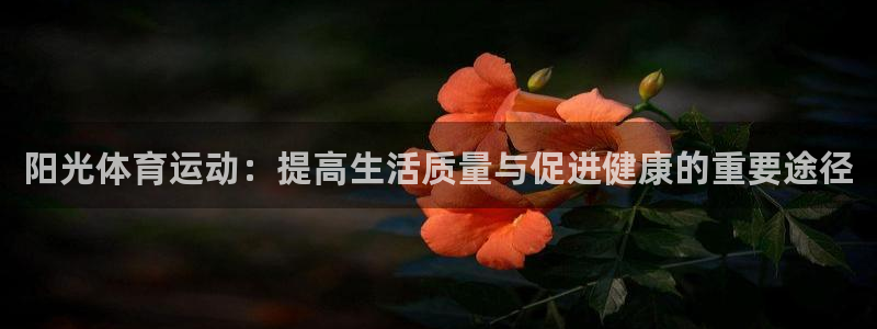 风速体育下载：阳光体育运动：提高生活质量与促进健康的重要途径