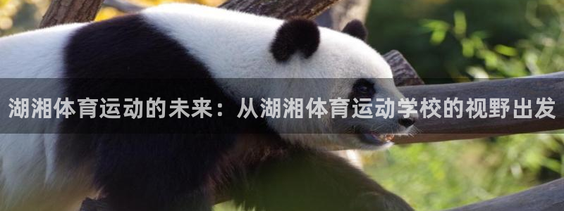 风速体育下载：湖湘体育运动的未来：从湖湘体育运动学校的视野出发