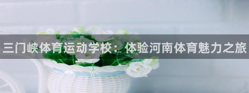 风速体育：三门峡体育运动学校：体验河南体育魅力之旅