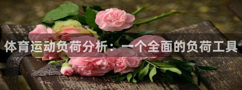 风速体育下载：体育运动负荷分析：一个全面的负荷工具