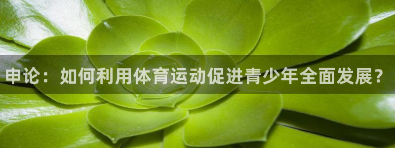 风速体育直播：申论：如何利用体育运动促进青少年全面发展？