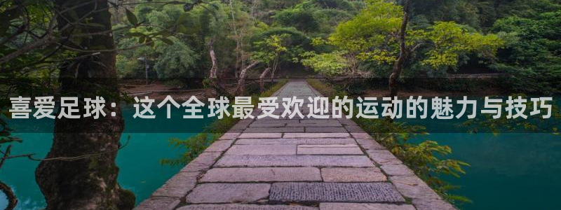 风速体育app下载安装最新版本：喜爱足球：这个全球最受欢迎的运动的魅力与技巧