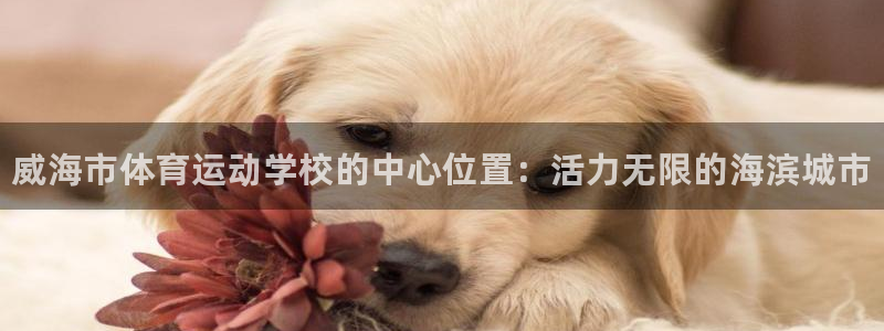 风速体育app下载安装最新版本：威海市体育运动学校的中心位置：活力无限的海滨城市