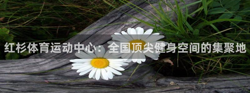 风速体育app：红杉体育运动中心：全国顶尖健身空间的集聚地
