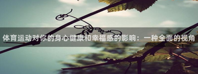 风速体育官网：体育运动对你的身心健康和幸福感的影响：一种全面的视角