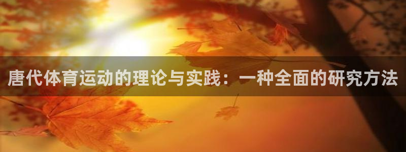 风速体育nba免费直播：唐代体育运动的理论与实践：一种全面的研究方法